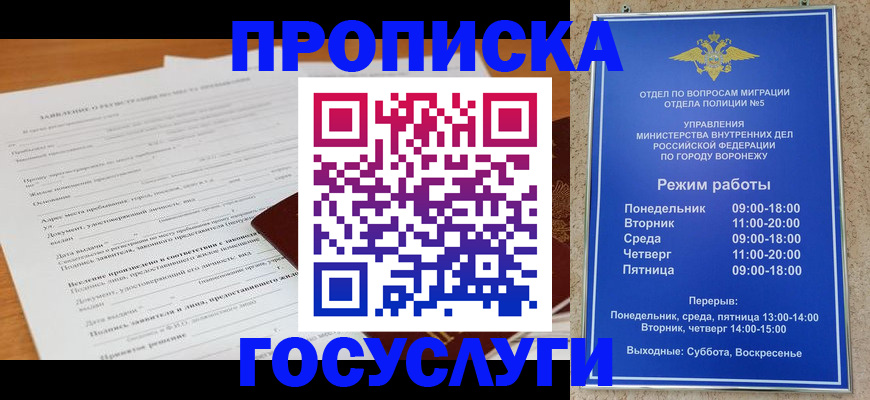 прописка штамп в Светлогорске